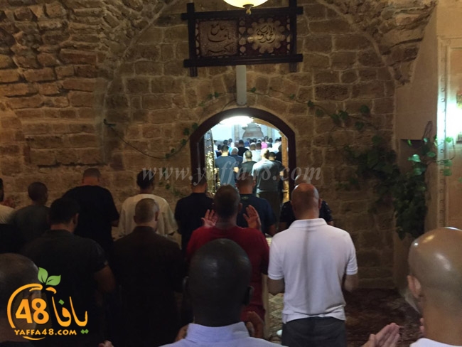 qader yaffa msajed (13).jpg